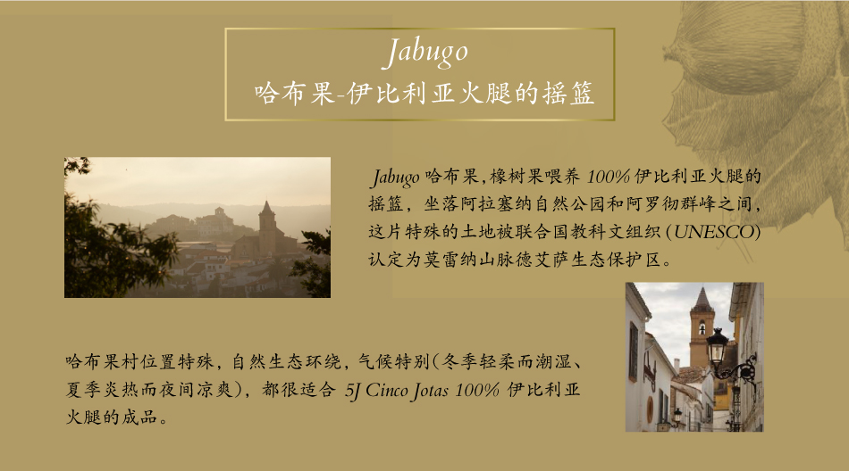 5jcincojotas(图4)